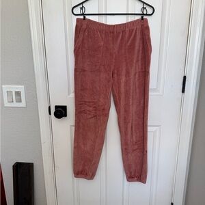 Aerie Pink Velour Jogger Sweatpants